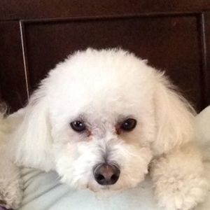 Meet your Posher, Krista